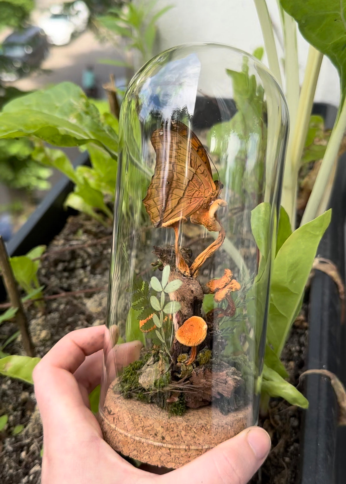 Wald im Glas - Glaskuppel