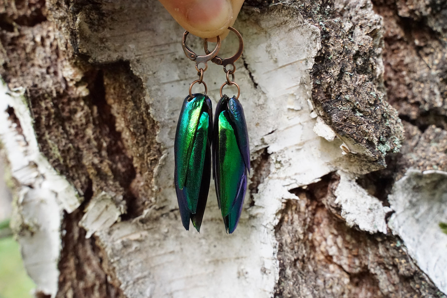 Beetle wing earrings