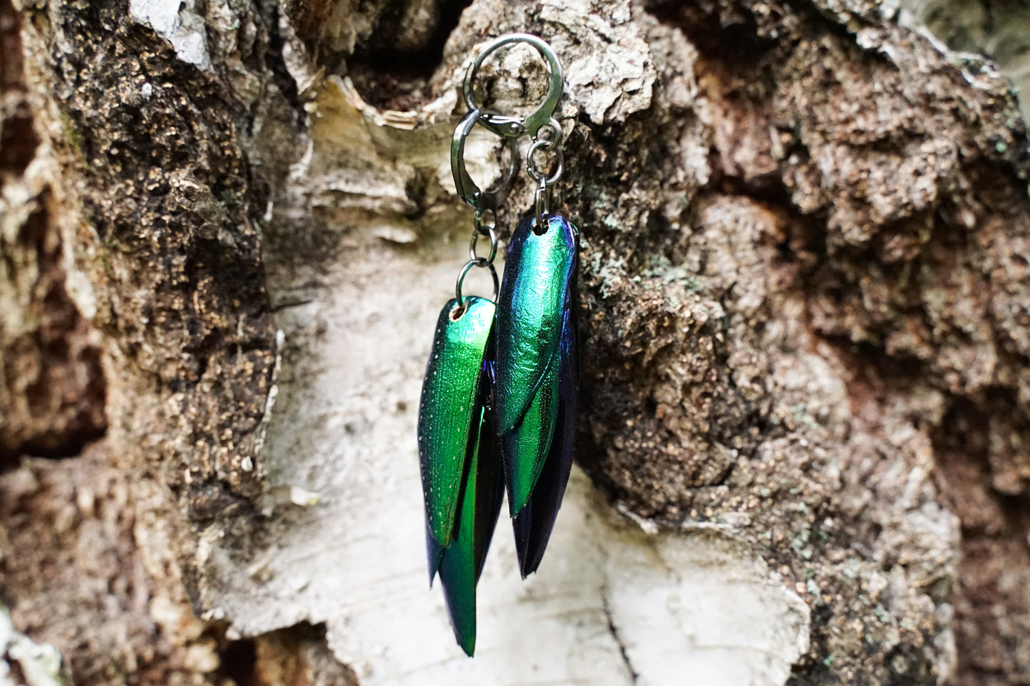 Beetle wing earrings