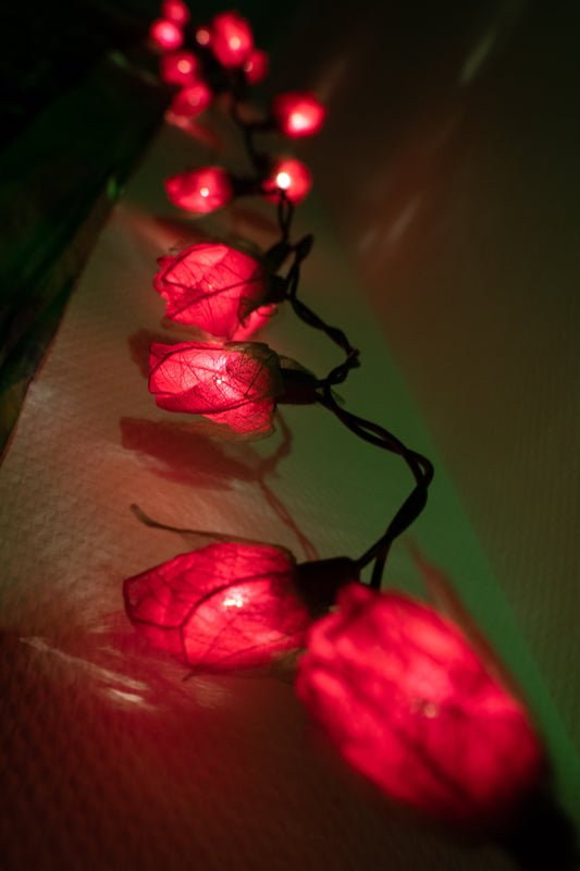 Roses - fairy lights made of real leaves
