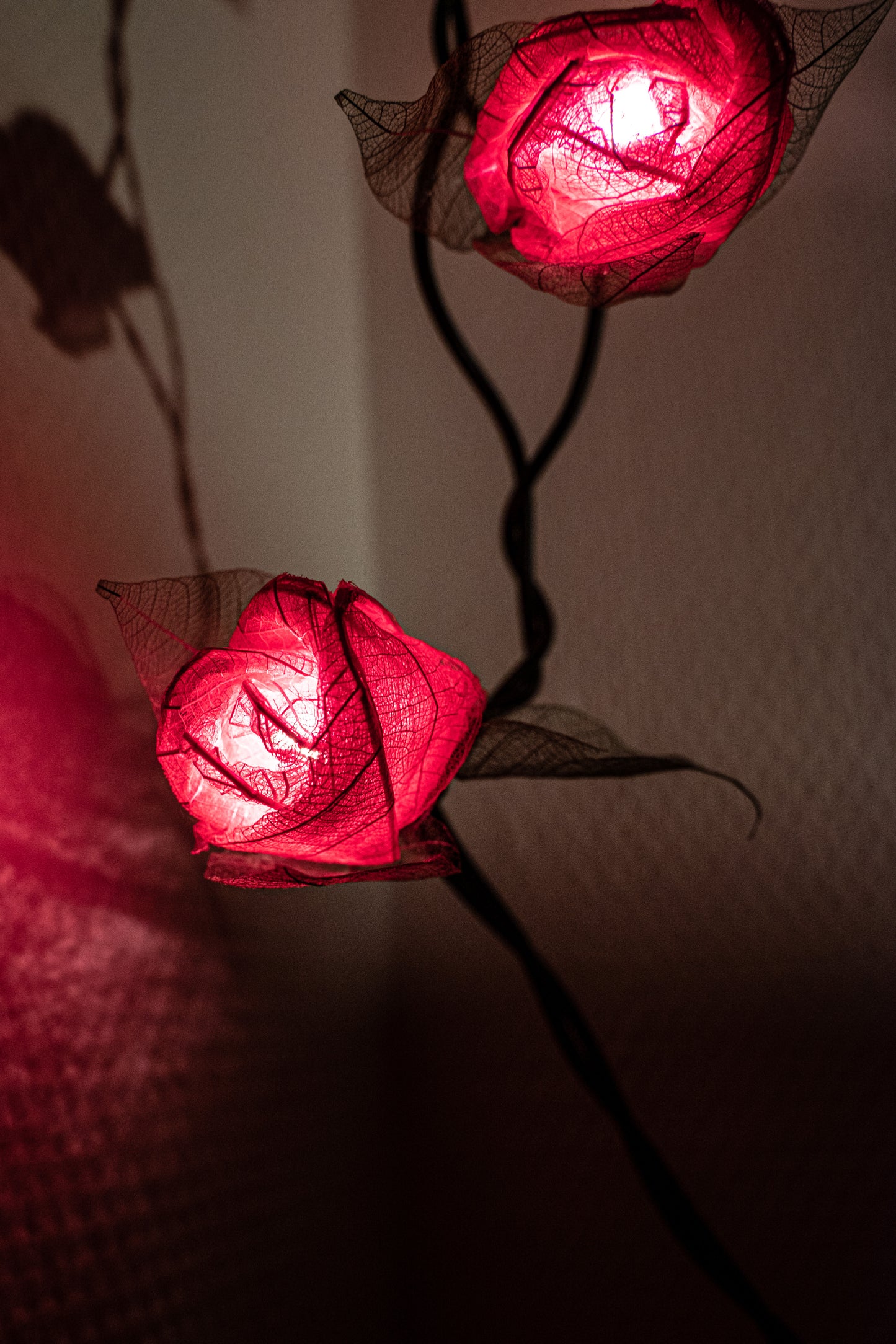 Rosen - Lichterkette aus echten Blättern